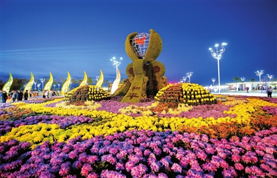 花卉博覽會的魅力與苗木種植的藝術(shù)